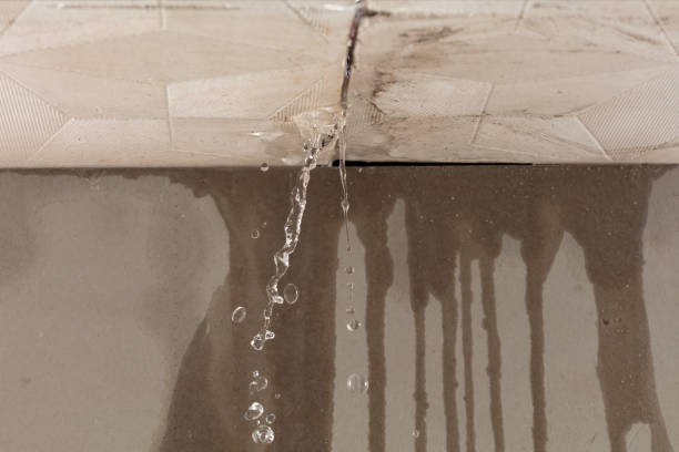 Professional Structural Drying technician working in DeWitt, MI